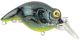 PowerCatcher Plus Crazy Perch 50