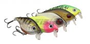воблер Tight-S Shallow Hard Lures